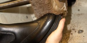 Shoemaker polishing chelsea boot
